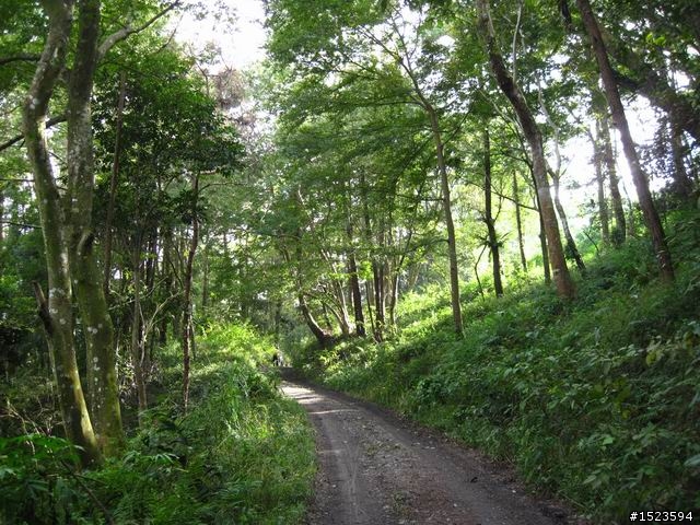 世外桃源的山中傳奇 ~ 小關山林道