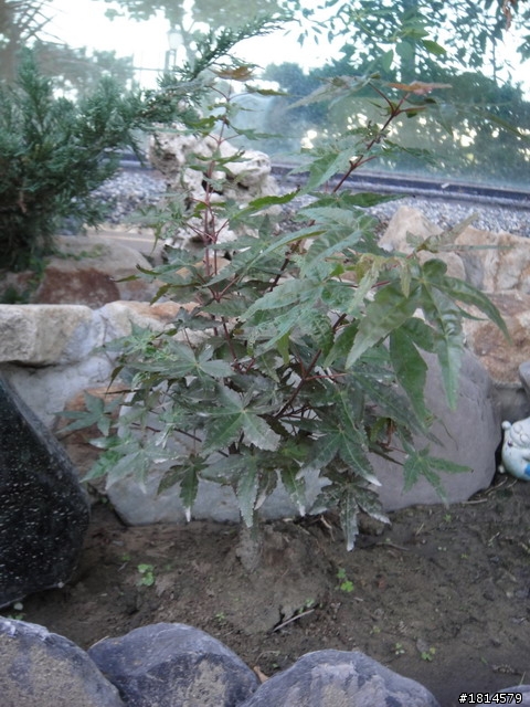 小小庭院‧大變身