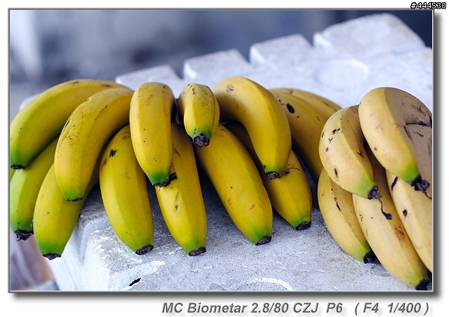 MC Biometar Carl Zeiss Jena 2.8/80 for P6 老鏡春天 Part 11