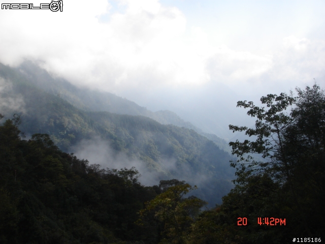 2010/11/20高雄至台中大雪山國家森林遊樂區隨心遊