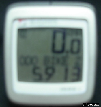 【2010神州之旅  】  北極村    TO   廈門
