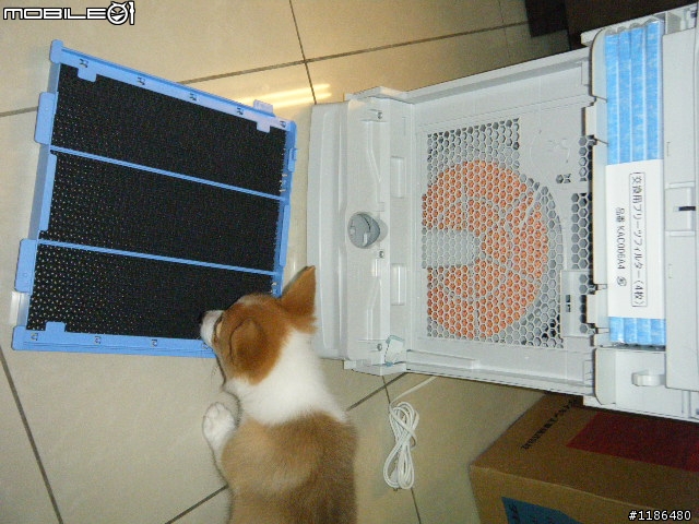 DAIKIN ACK75K 空氣清淨機簡易開箱