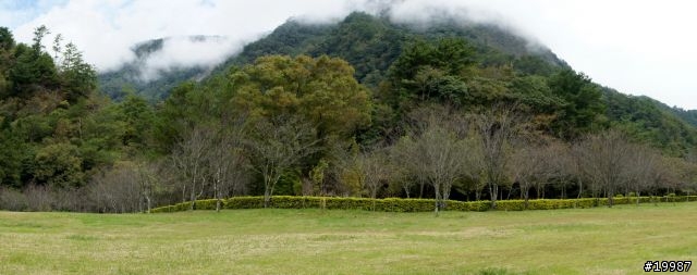 帶著 NEX-5 去清境