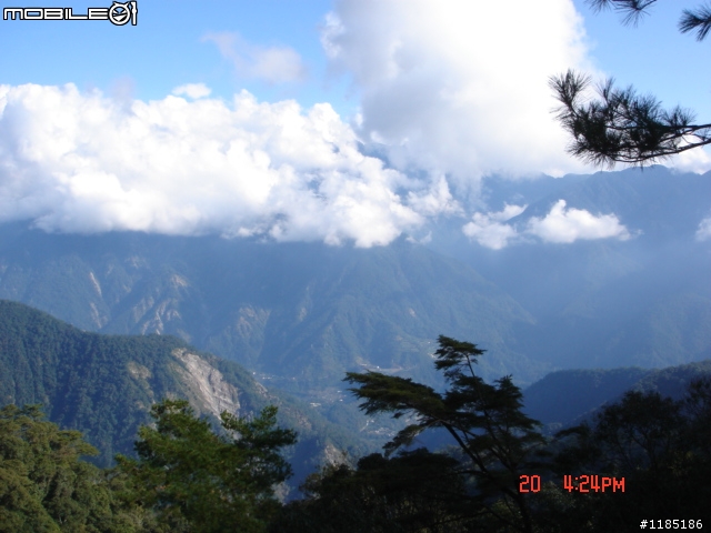2010/11/20高雄至台中大雪山國家森林遊樂區隨心遊