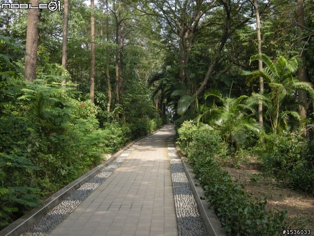 市區油耗實測系列之一：高雄市金獅湖篇
