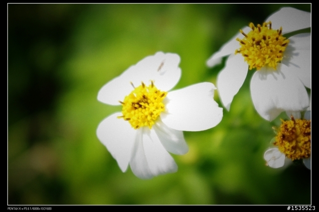 台灣遊之LOMO大樓 再來一棟?