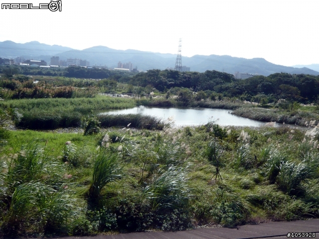 楓葉隧道-石門水庫