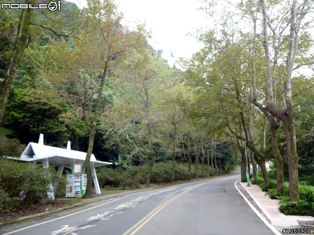 楓葉隧道-石門水庫
