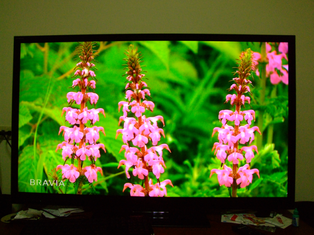 SONY 55NX810 使用中