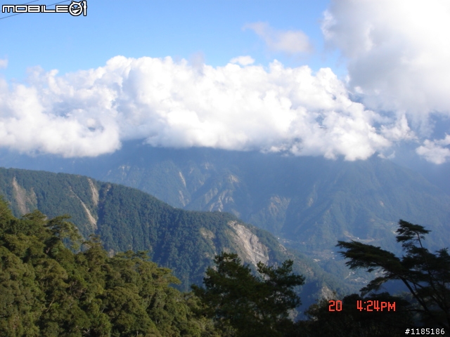2010/11/20高雄至台中大雪山國家森林遊樂區隨心遊