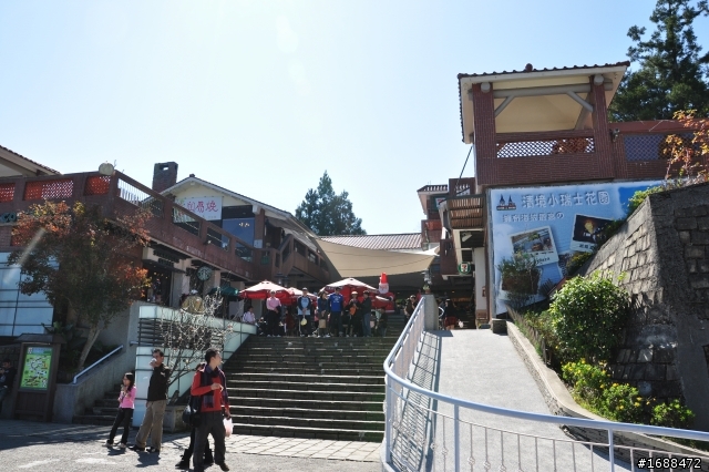2010/11/21 武嶺 風景分享