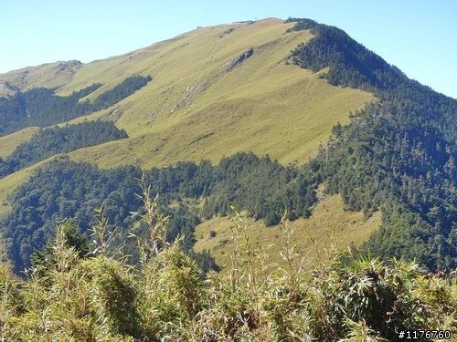 2010 MAXXIS 太魯閣國際登山賽 福利網車隊