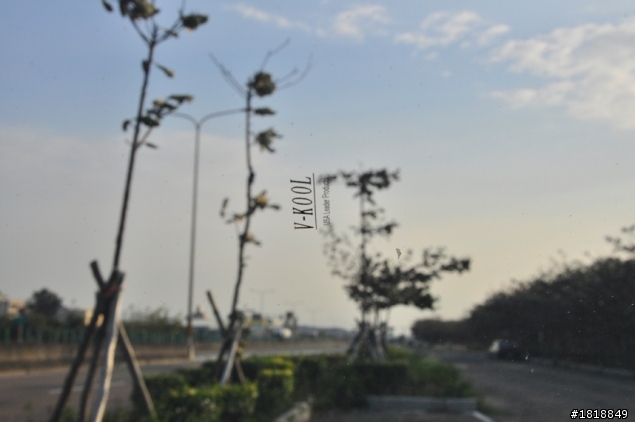 北極笨熊的藍泡泡開箱