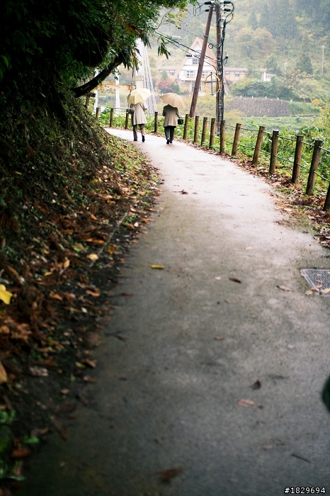 老機器Canon 400D+Sigma 30mm f1.4遊日本