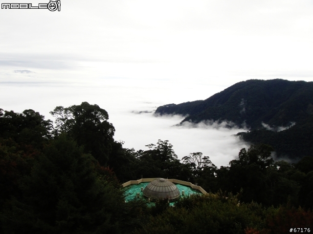 [分享]991106大雪山國家森林遊樂區