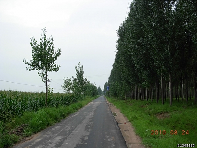 【2010神州之旅  】  北極村    TO   廈門
