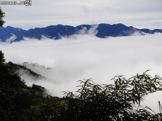 [分享]991106大雪山國家森林遊樂區