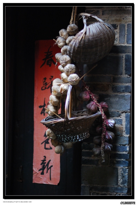 員工旅遊，周庄半日遊