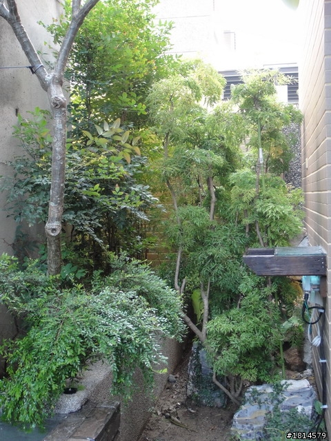 小小庭院‧大變身