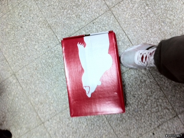 踢到北極熊  ------------超美的公路車鞋