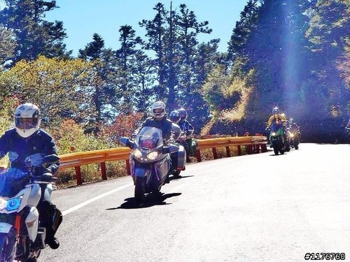 2010 MAXXIS 太魯閣國際登山賽 福利網車隊