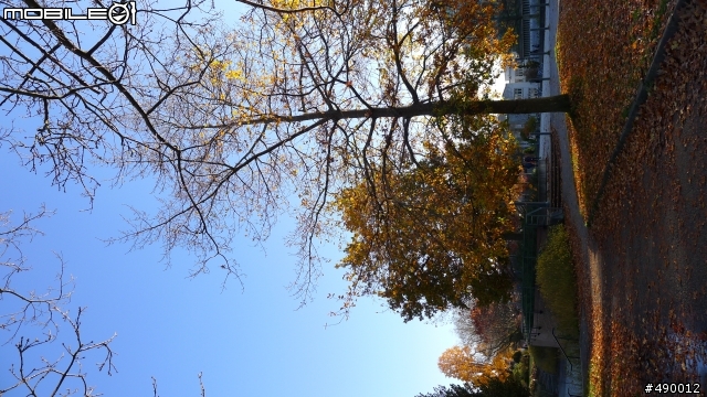 LEICA D-LUX 5 蓋大樓囉～～～！