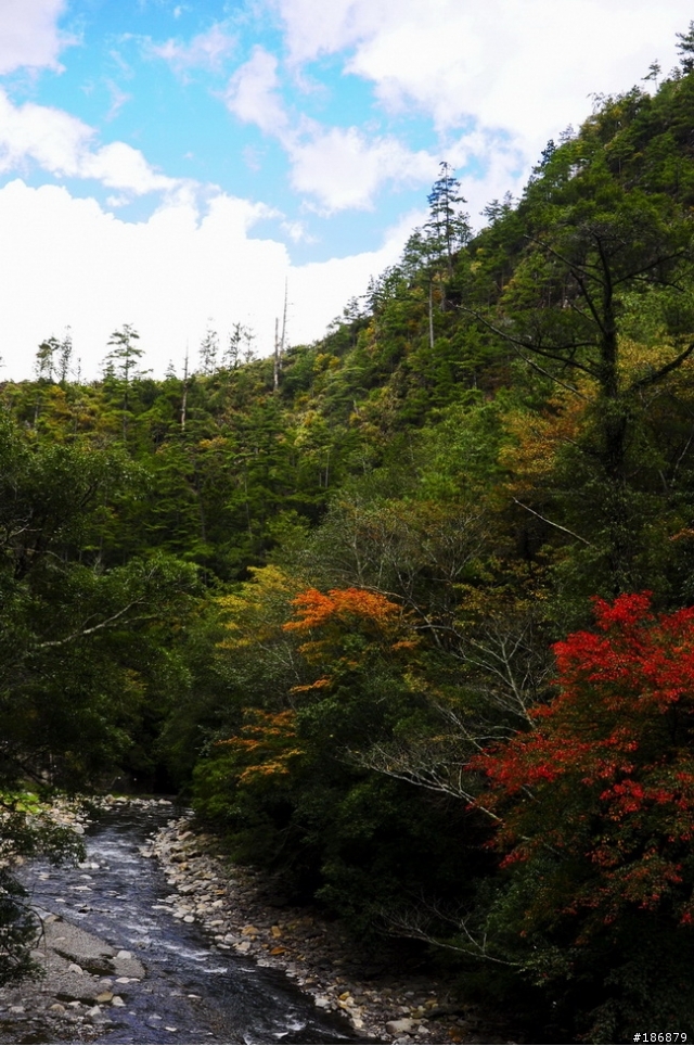 2010.11/18-19 350KM賞楓之旅(圖爆多)