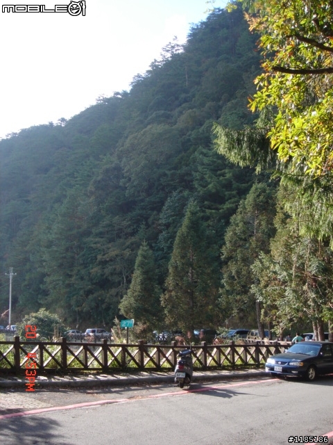 2010/11/20高雄至台中大雪山國家森林遊樂區隨心遊