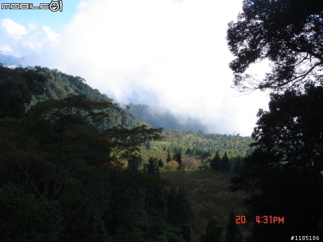 2010/11/20高雄至台中大雪山國家森林遊樂區隨心遊