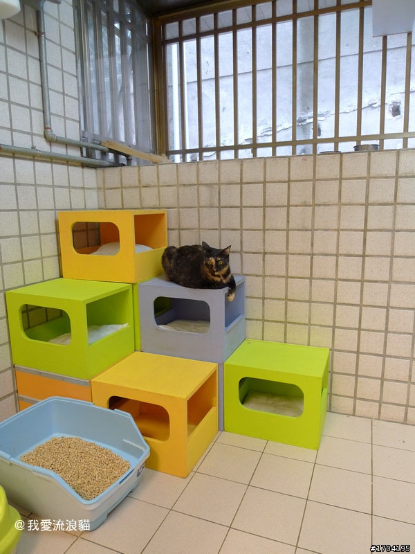 貓屋設計