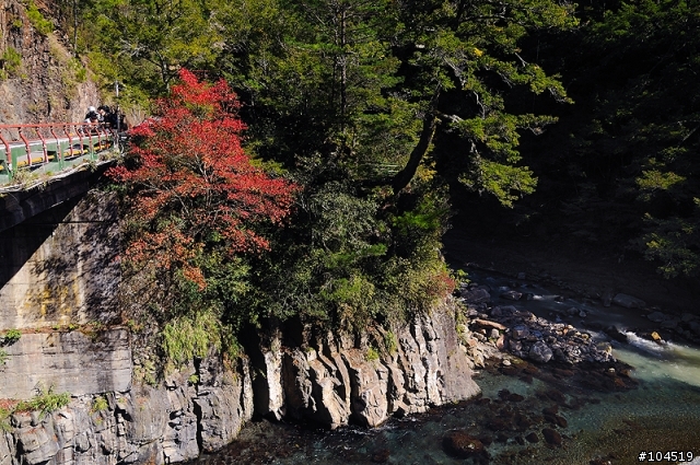 繽紛秋色 福壽山‧武陵農場