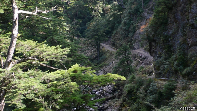 [讚!] 美呆了...大禹嶺-武嶺-合歡山4+2+2觀日出單車行