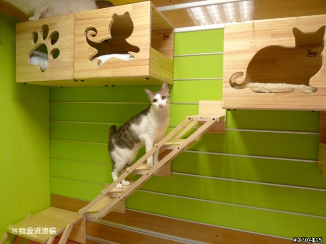 貓屋設計