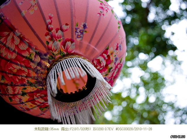Alpha & Zeiss 臺北花博，圓山公園區
