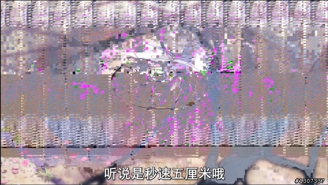 potplayer硬解 播1080P的MKV檔會花花綠綠的
