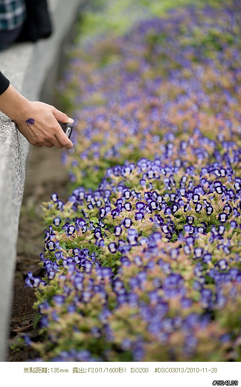 Alpha & Zeiss 臺北花博，圓山公園區