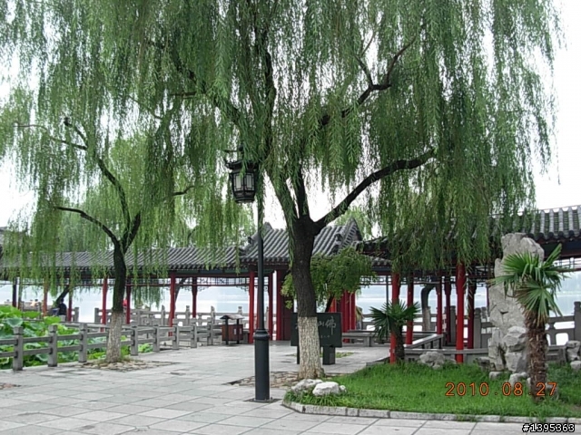 【2010神州之旅  】  北極村    TO   廈門