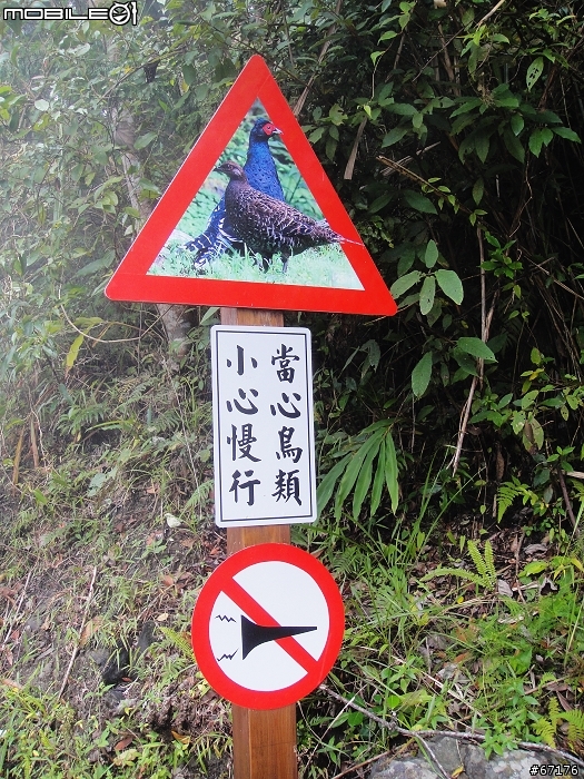 [分享]991106大雪山國家森林遊樂區