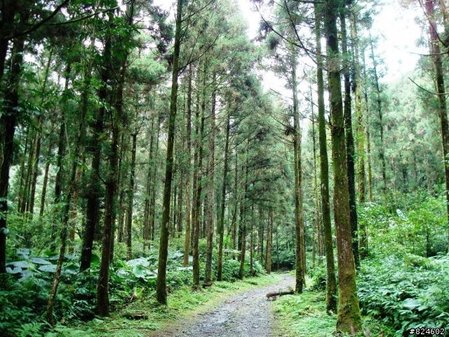 那個秋末‧桶后越嶺。