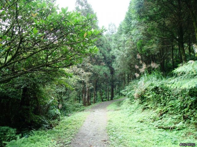 那個秋末‧桶后越嶺。