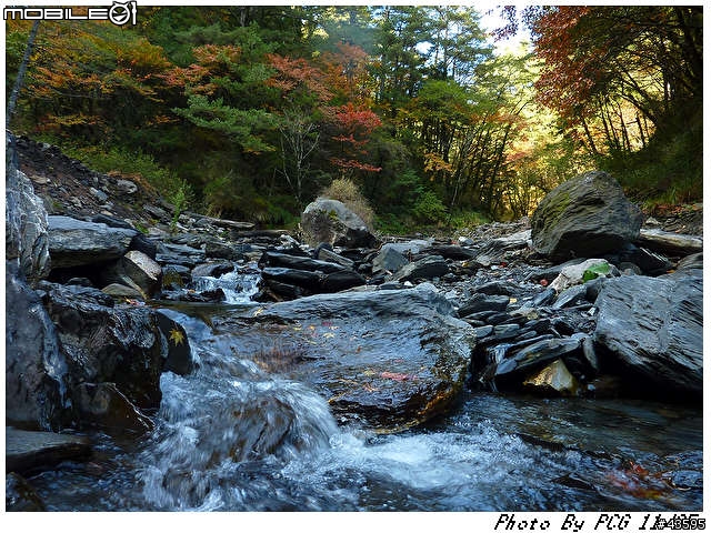 [10/11/25]-台南-合歡山台8線108K楓之谷-[16hr來回-485KM]