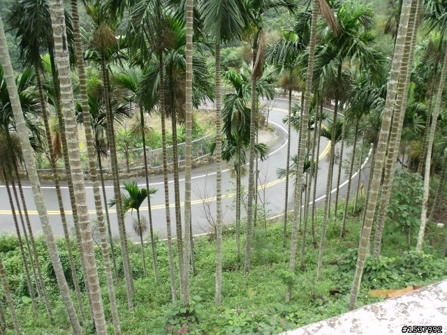 北113這適合off road嗎？