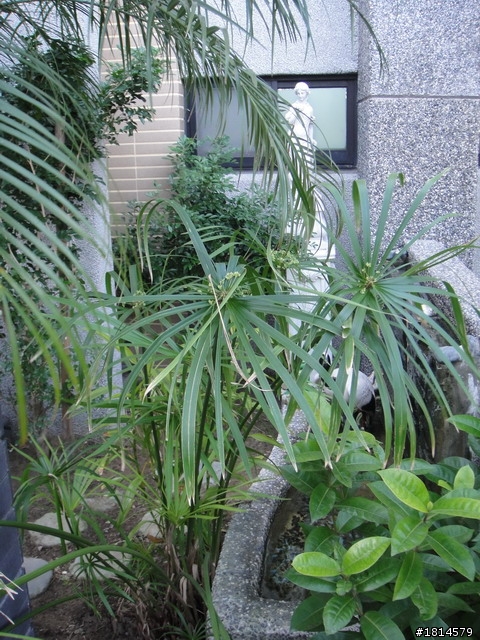 小小庭院‧大變身