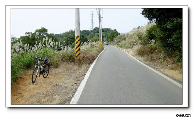 新竹地區優質單車路線~~新埔後山