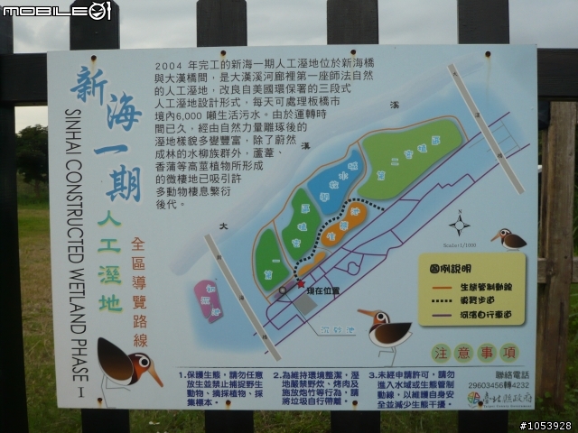 楓葉隧道-石門水庫