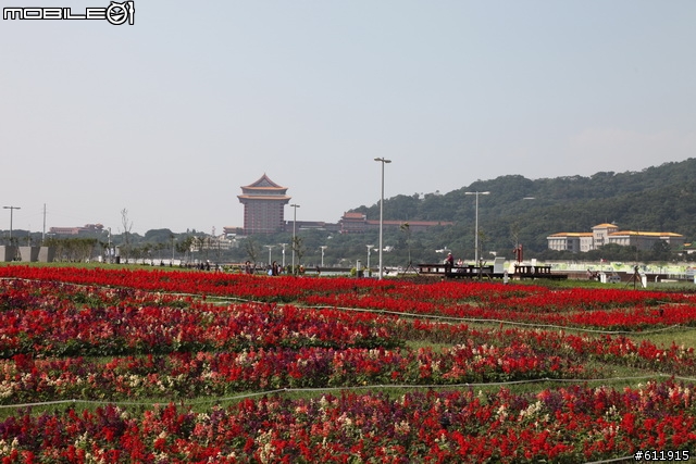 2010/11/09(二)逛花博