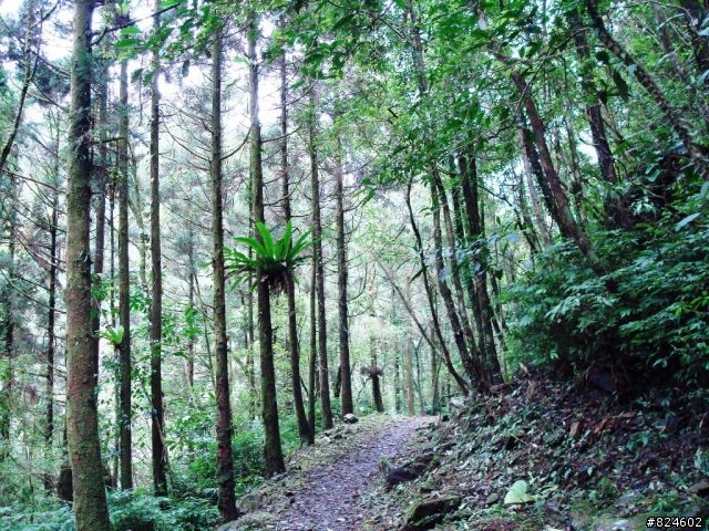 那個秋末‧桶后越嶺。