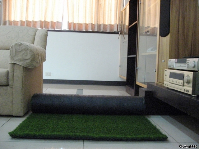 害羞首發!來!作爹的給妳們一片安全綠地!!!(Artificialturf人工草皮)