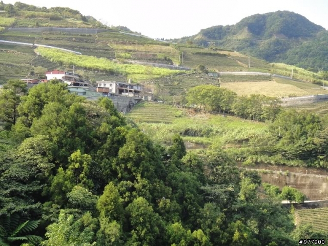 【醉愛騎】坪雙公路(42縣道)貴妃池_闊瀨吊橋_黑龍潭_大舌湖