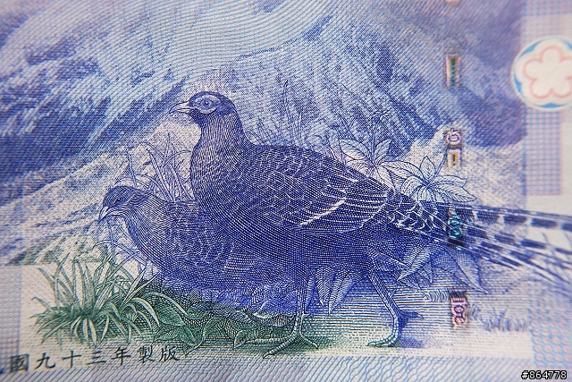 小小世界大發現，近拍也可以很簡單(B+W NL10近攝片)